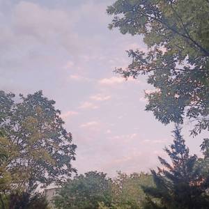 小🐤🐤戳进警察🍑里面91
